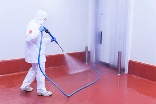 Best Rust Removal  in Kalamazoo, MI