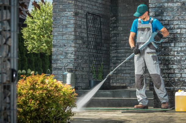 Animal Enclosure Cleaning in Kalamazoo, MI